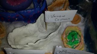 Noi riusciamo a respirare grazie a questi piccoli laboratori chimici che producono ossigeno._3